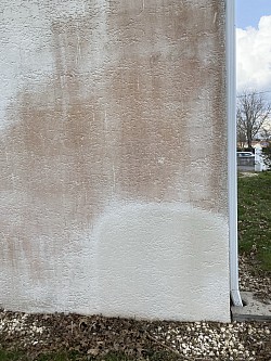 Test anti mousse sur Facade